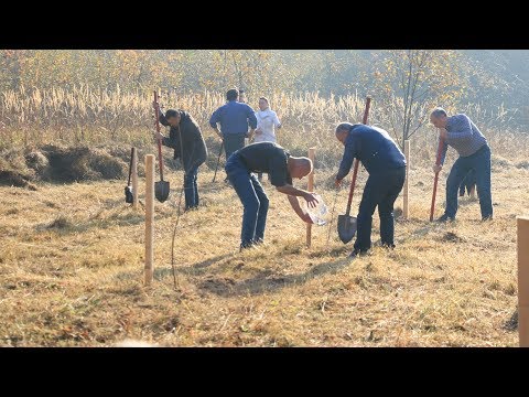 На честь 30-річчя Студентського Братства в Галицькому парку посадили 30 черешень