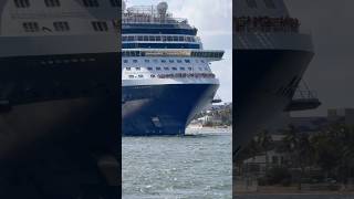 Celebrity Reflection 🛳️ #like #share #comment #subscribe #youtubeshorts #cruise #travel #shorts #yt