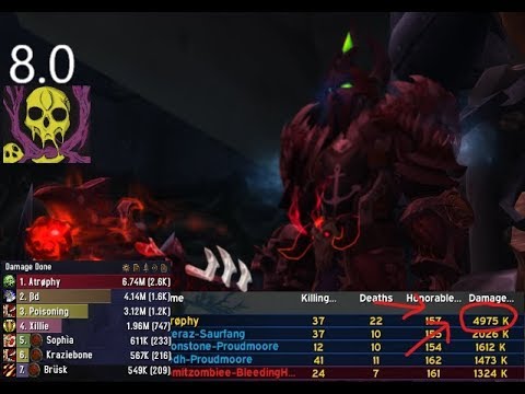 Unholy DK 8.0 BG damage guide