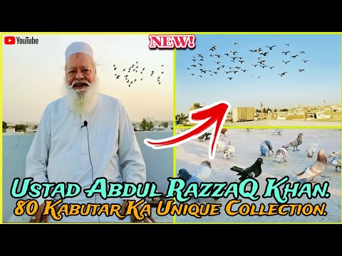 Ustad Abdul Razzaq khan | kachpare lalband ghagray kabutar | pigeon loft | kabootar bazi.