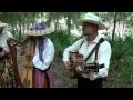 "Sandhill Crane"  Heartstrings Performance at at the Florida Folk Festival 2010