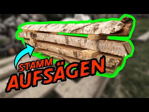 Stamm aufsägen mit Kettensägewerk, kleine Bohlen, gestockte Birke.