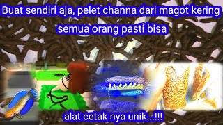 Download lagu MUDAH BUATNYA|MAGOT KERING JADI PELET IKAN CHANNA mp3