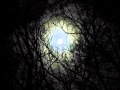My Dying Bride - Sear me