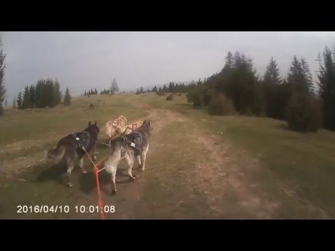 Homorodfurdo 2016(Vasarnap 3)