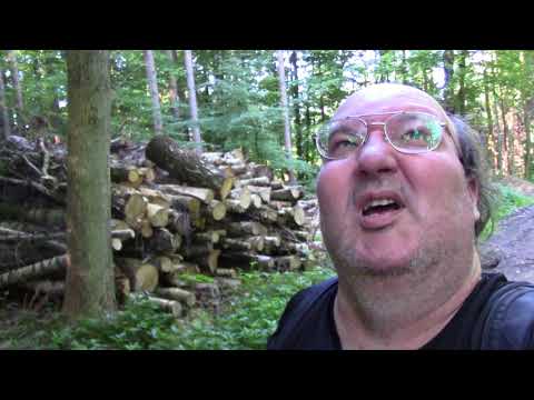 MongoTV_1084 - Del 3 - SKOVTUR Store Skov Frederiksdal - Lørdag Den 2.Juni 2018