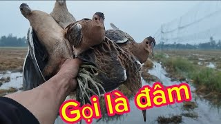 Download lagu Tiếng Cúm Núm cà lăm 1 gọi là đâm đã test mp3 Download lagu Tiếng Cúm Núm cà lăm 1 gọi là đâm đã test mp3