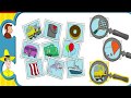 Curious George Big Picture Curious George PBS KIDS
