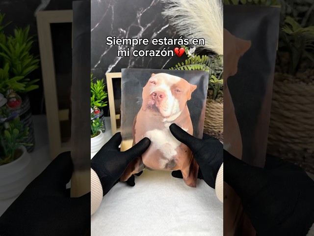 Vídeo relacionado con Chu6an6d Tarjeta personalizada para perro, tarjeta de intercambio de fotos personalizada, estilo de dibujos animados, recuerdo hecho a mano, regalo para madres y padres de perros