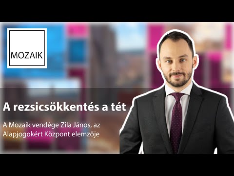 Mozaik – A rezsicsökkentés a tét – vendég: Zila János