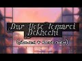Ami Dur Hote Tomare Dekhechi Slowed Reverbed Pithwi Raj Ft Mahtim Sakib VeBrio