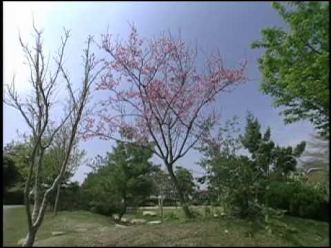 水土保持固家園 活力鄉村展新貌 -卓蘭西坪里