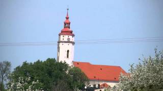 preview picture of video 'Kościół w Białej Prudnickiej'