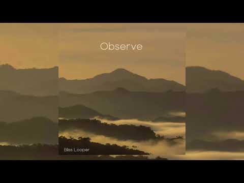 Bliss Looper - Observe