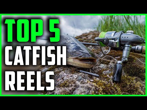 Best Catfish Reels 2023 | Top 5 Catfish Spinning Reels
