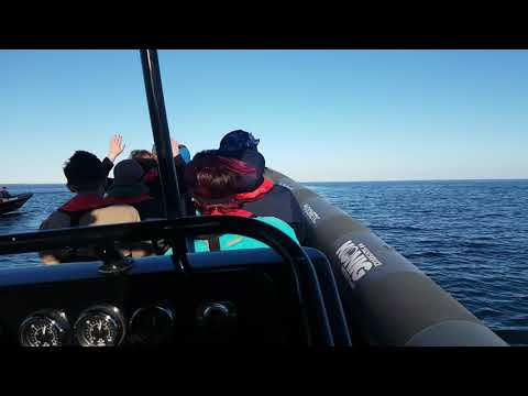 Baltic Pirates 2x700 PS und 1x1050 PS in 4k