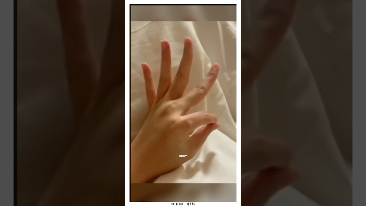 ��������� ����� �� ����� - ��� ������ ����