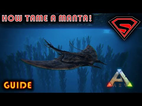 ARK HOW TO TAME A MANTA 2020 - EVERYTHING YOU NEED TO KNOW ABOUT TAMING A MANTA IN ARK