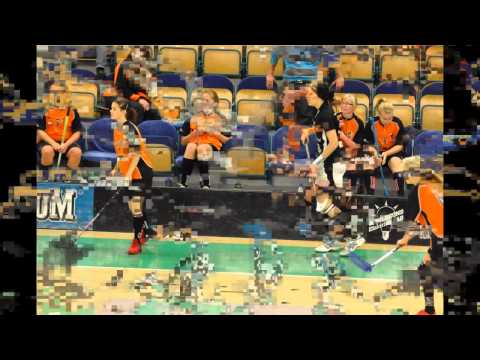 IBK Luleå damer div 3 2010-10-23