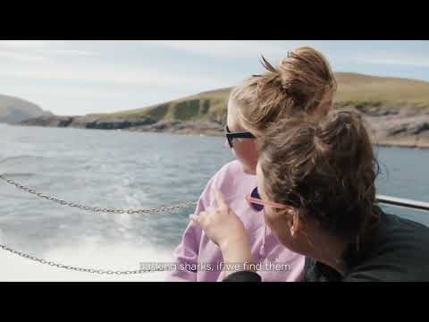 Spirit of the Highlands and Islands - Cliffs of Mingulay