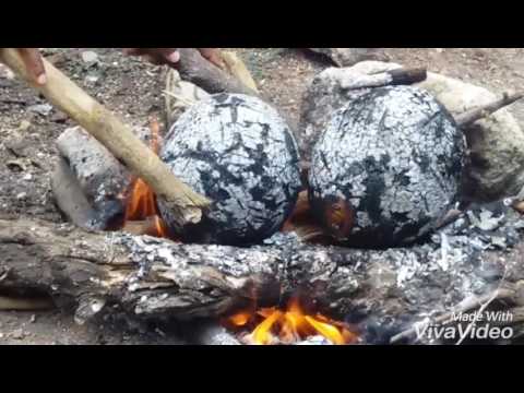 download lagu mp3 mp4 Roast Breadfruit, download lagu Roast Breadfruit gratis, unduh video klip Roast Breadfruit