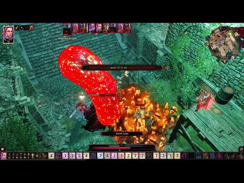 Divinity  Original Sin 2 - Bishop Alexander vs Solo necromancer