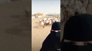 Download lagu Inta Hayati New Arabic Girl Freestyle rap ❤️💫 Viral TikTok video #tiktok #viralshorts #viraltiktok mp3 Download lagu Inta Hayati New Arabic Girl Freestyle rap ❤️💫 Viral TikTok video #tiktok #viralshorts #viraltiktok mp3