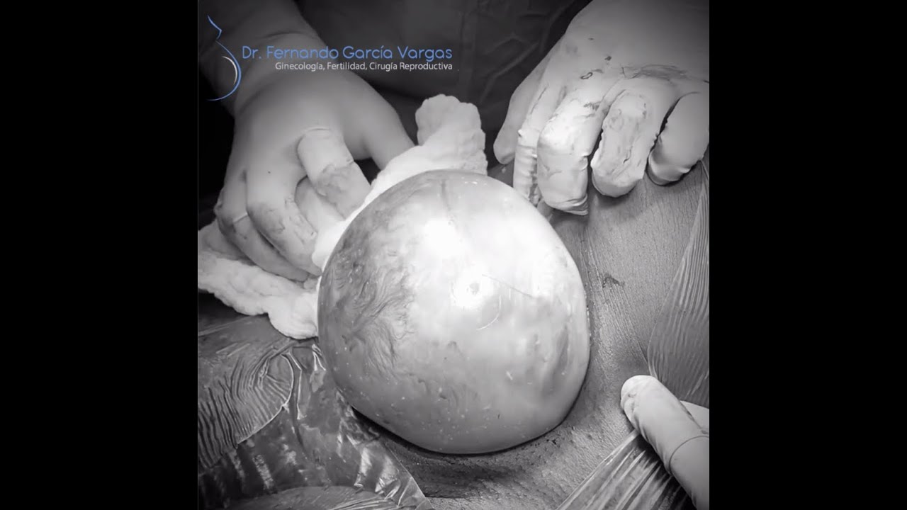 Fernando Garcia Vargas-7