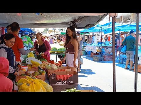 FEIRA LIVRE NA CIDADE DE IBIAPINA CEARÁ DIA 30/11/25