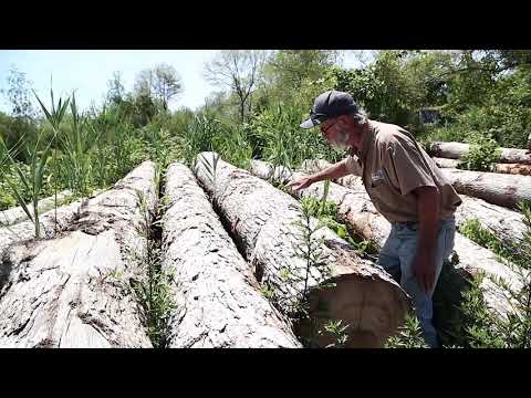 Building the TotalBoat Sport Dory: Episode 2 - Sourcing White Oak Lumber