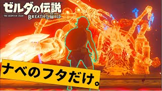 『ナベのフタ』だけでガノンに挑むリンク君【ゼルダの伝説ブレスオブザワイルド】