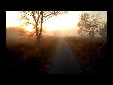 Slimzee & Godsgift   Street Beats