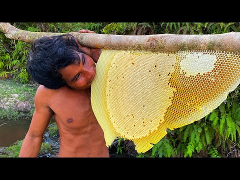Million Dollars Skill! Brave Millionaire Harvesting Honey Beehive by Hands
