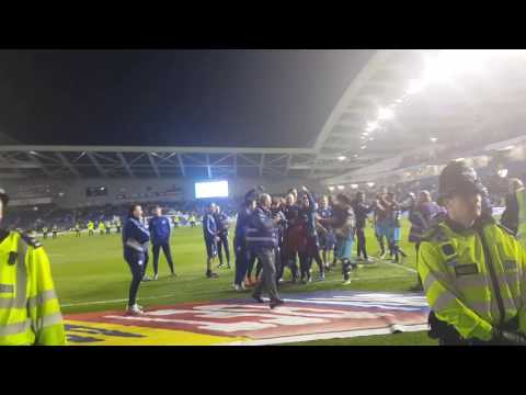 Brighton pitch celebrations #2 Jose Semedo