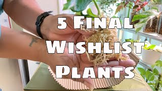 Wishlist Plant Unboxing 5 Plants Wishlist Complete Rare Plants Plant Mail Haul