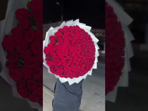 24 сентября 2024 г.