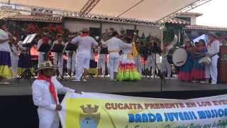 TORO NEGRO CUCAITA 2015