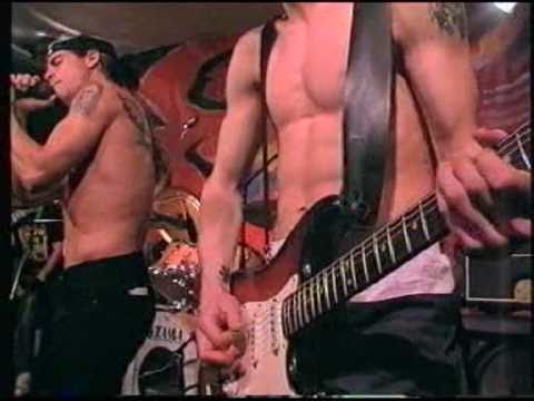 Yertle the Turtle - Red Hot Chili Peppers