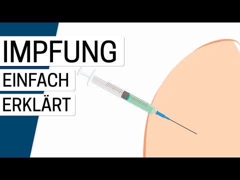 Wie funktioniert eine Impfung?