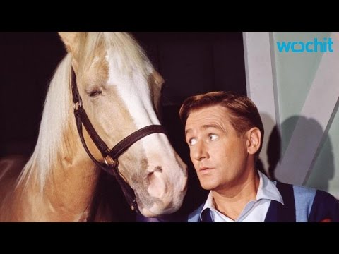 'Mr. Ed,' Star Alan Young, Dies At 96