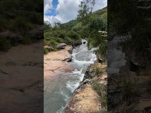 Pescaderito - curití Santander