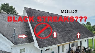 Black streaks on roof- what are they and can I get rid of them?