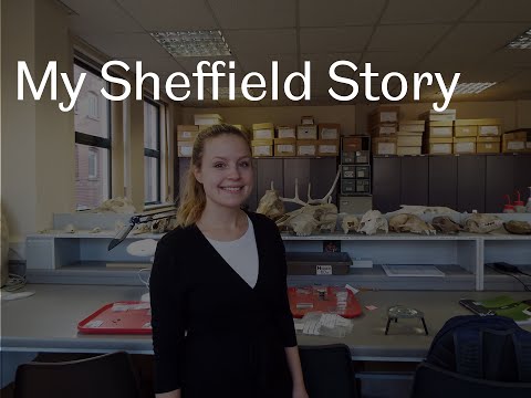 My Sheffield Story - Lucy Lawrence
