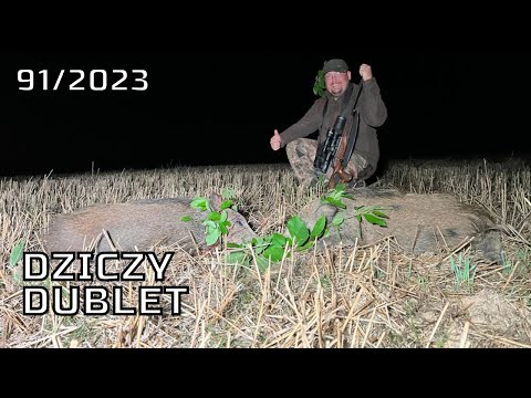 SUDECKA OSTOJA 91/2023 Dziczy dublet. Hunting wildboar Jagd chasse hunt