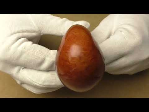 Amorelli Dandy*** - pipa 144