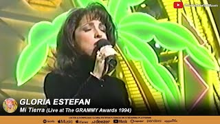 Gloria Estefan • Mi Tierra (Live at The GRAMMY Awards 1994)