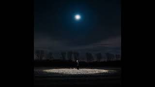 Common Saints - Night Light video