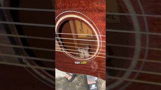 Download lagu tikus masuk gitar😭 bocil garena kw ketakutan🤣 #freefire #andrast mp3