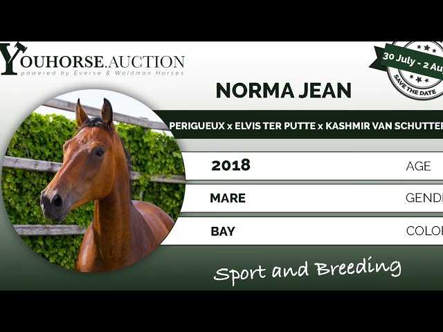 Norma Jean W under the saddle