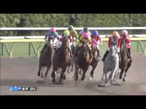 2016.11.26 Cattleya Sho (JPN) - Mont Saint Legame